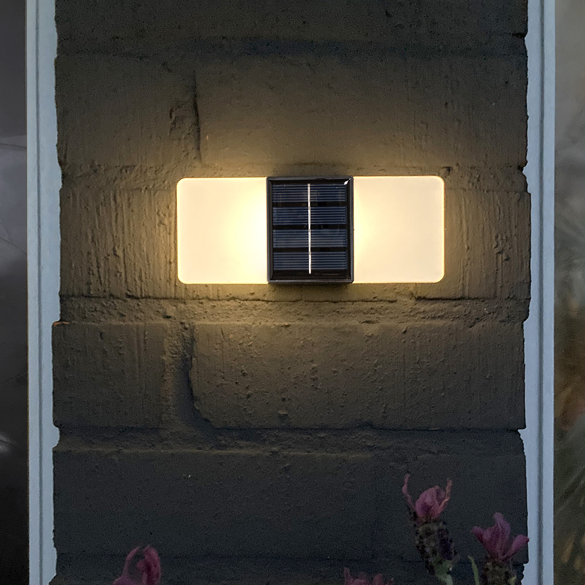 Solcell Vägglykta Star Trading Wally Frost LED