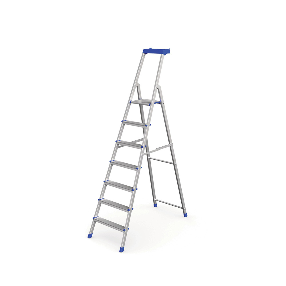 Trappstege Pro Werner Smart