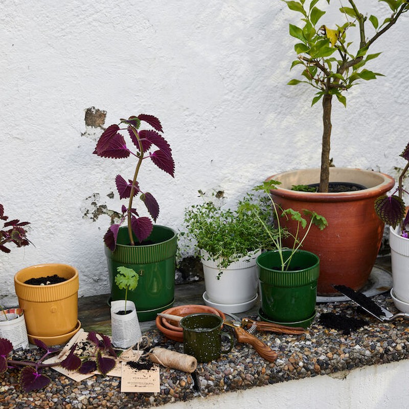 Kruka Sagaform med Fat Elise