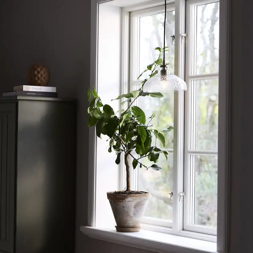 Taklampa PR Home Maple