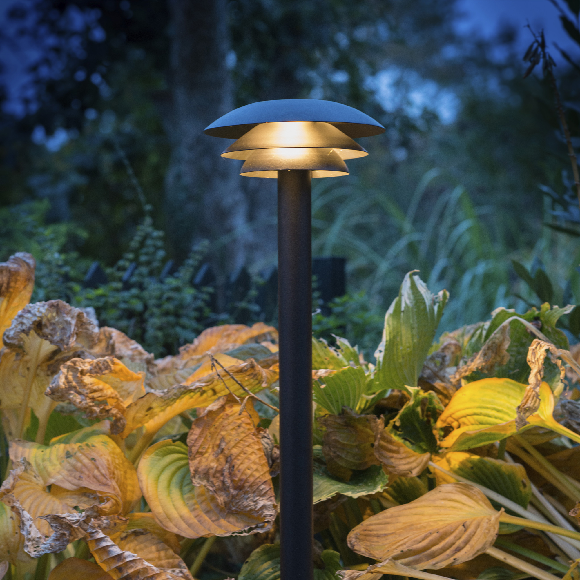 Pollare Dyberg Larsen