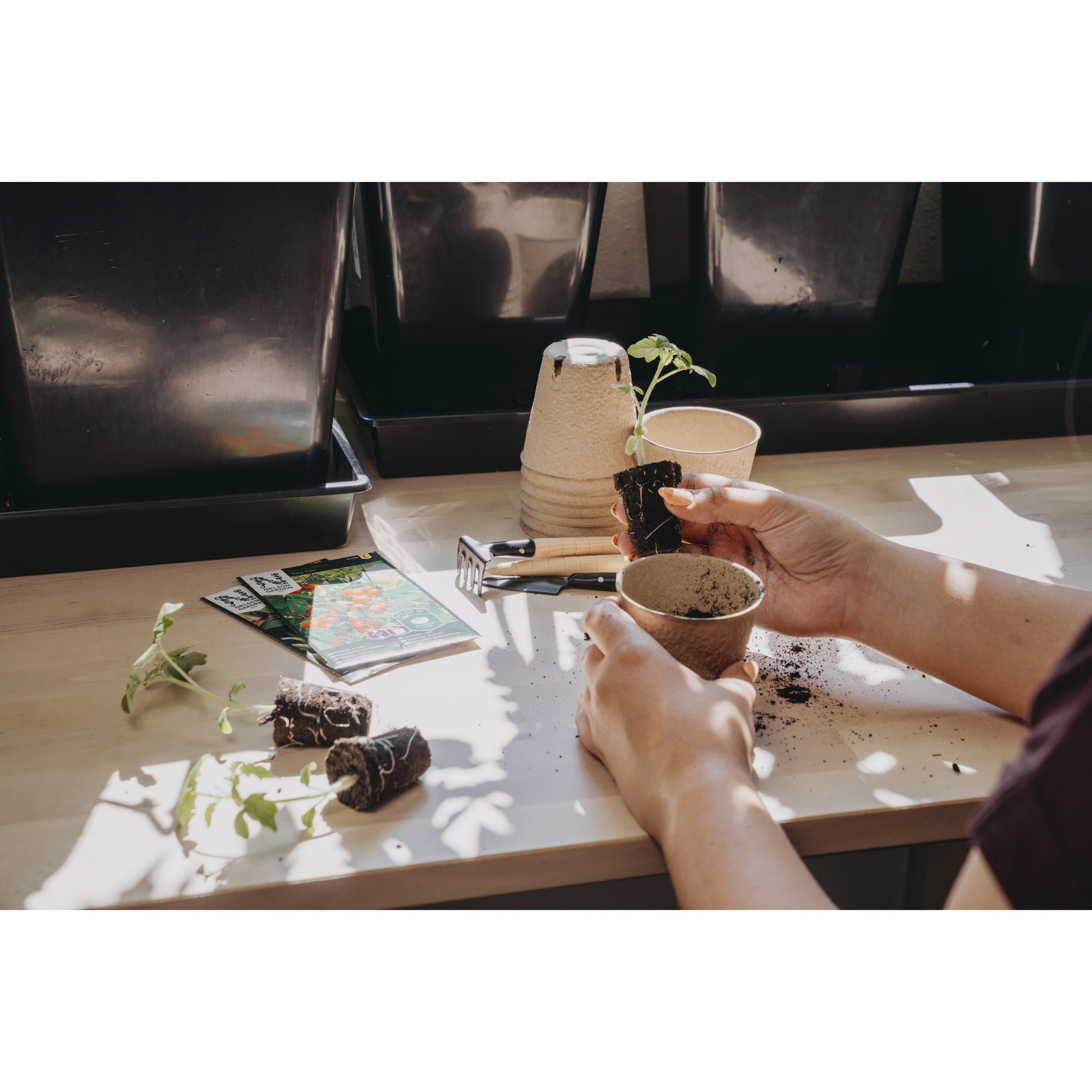 Kruka Nelson Garden Fiber HD Ø8cm 12-Pack