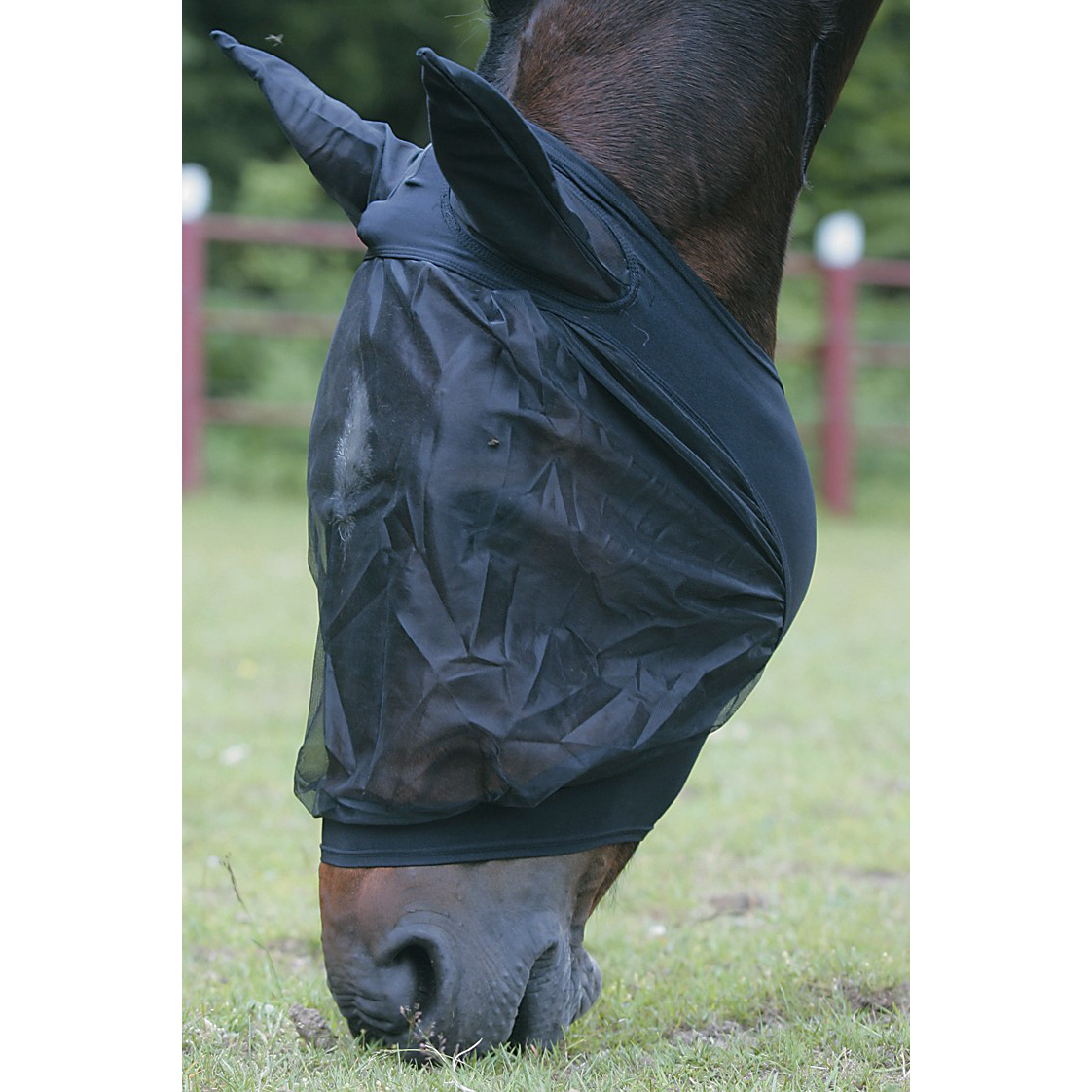 Flughuva Jacson Svart