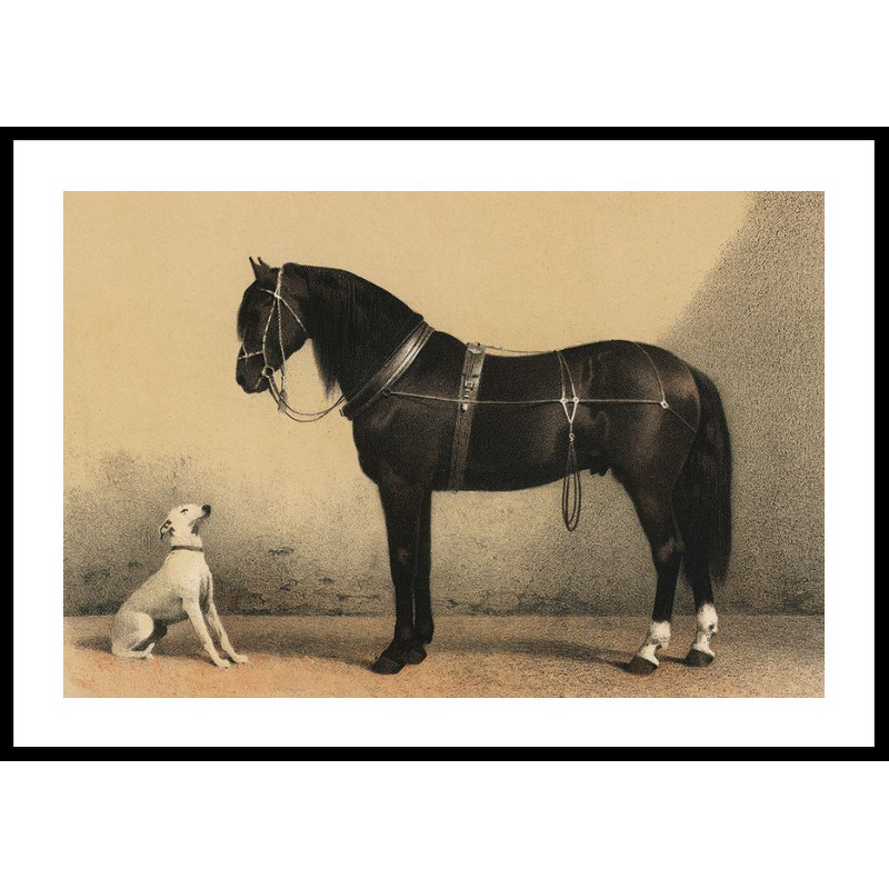 Poster Gallerix Horse And Hound