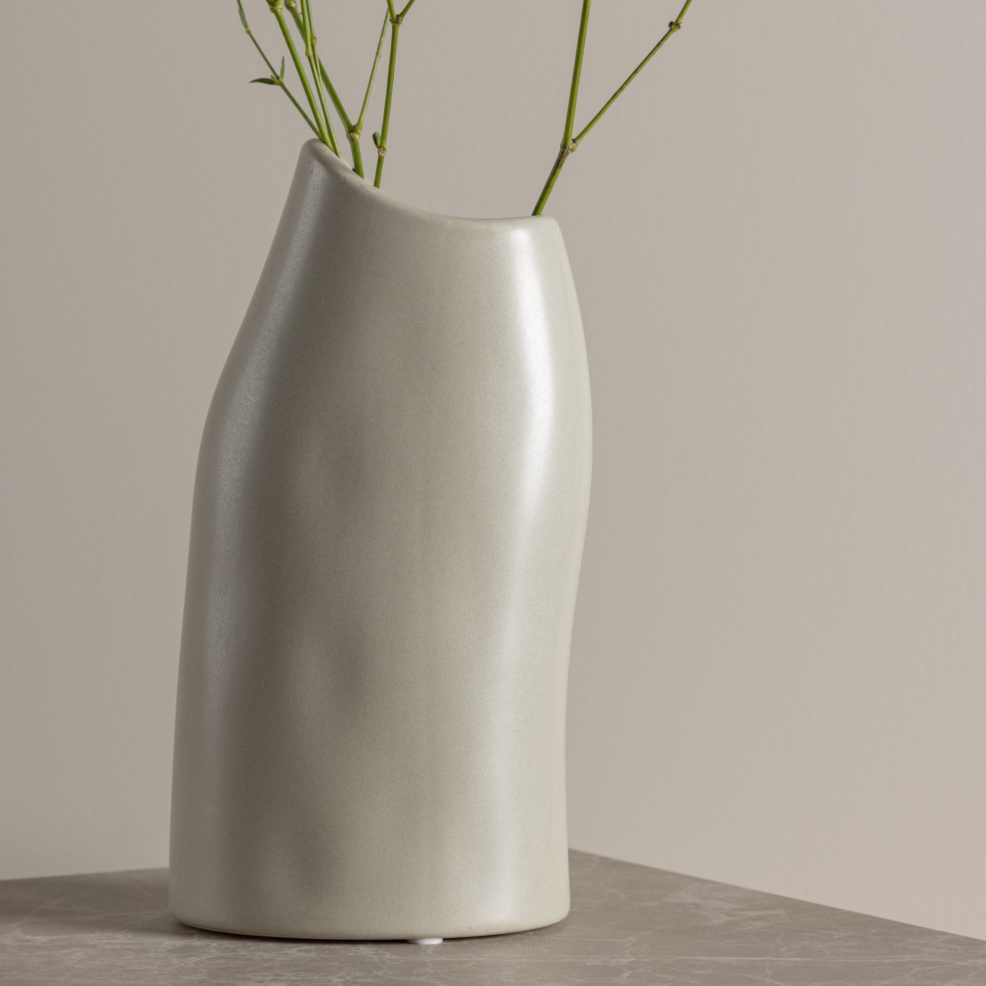 Vas Venture Home Ernst