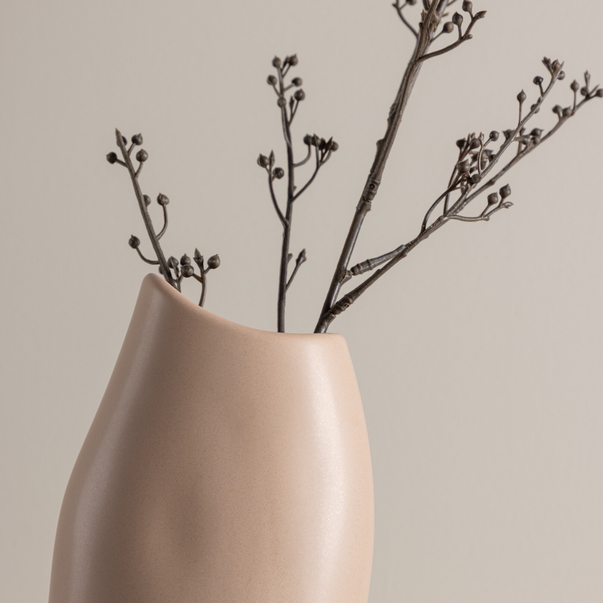 Vas Venture Home Ernst