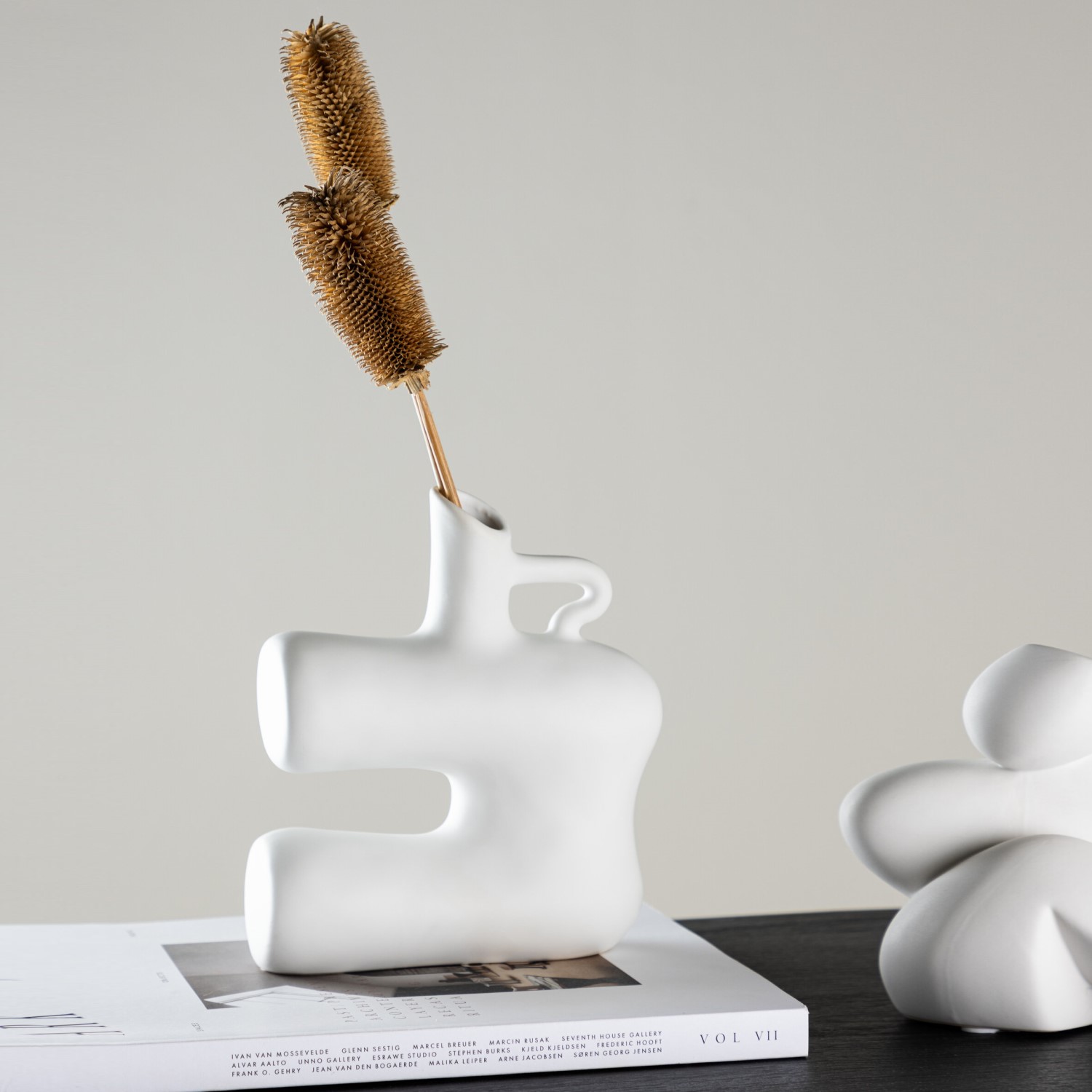 Vas Venture Home Dity