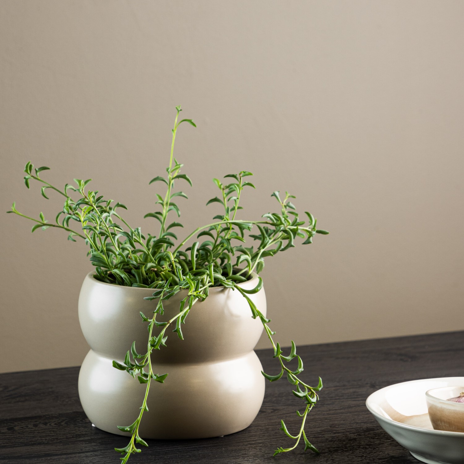 Kruka Venture Home Dapne