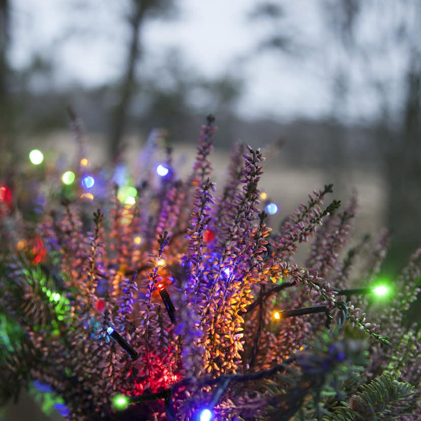 Ljusslinga Star Trading Serie MicroLED Svart Multi, 18 m