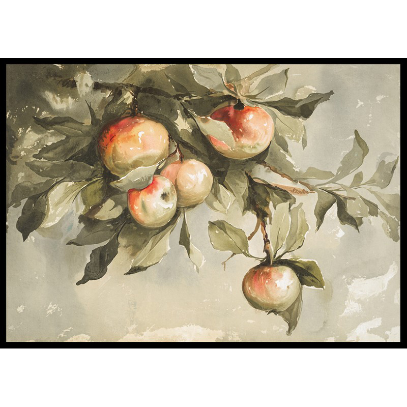Poster Gallerix Study Of Apples