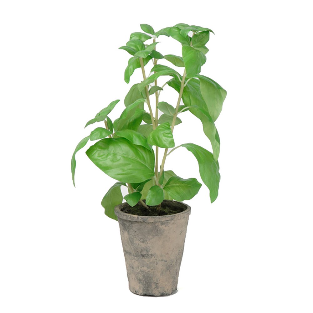 Konstväxt Fröken Fräken Basilika 38 cm Grön