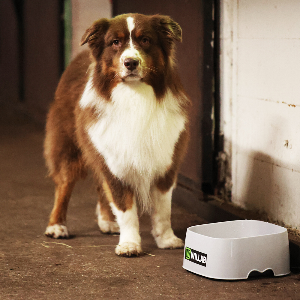 Värmeskål Willab 3L