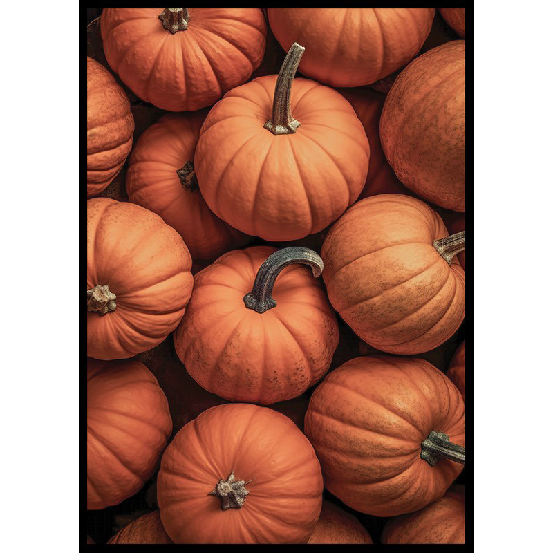 Poster Gallerix Pumpkins