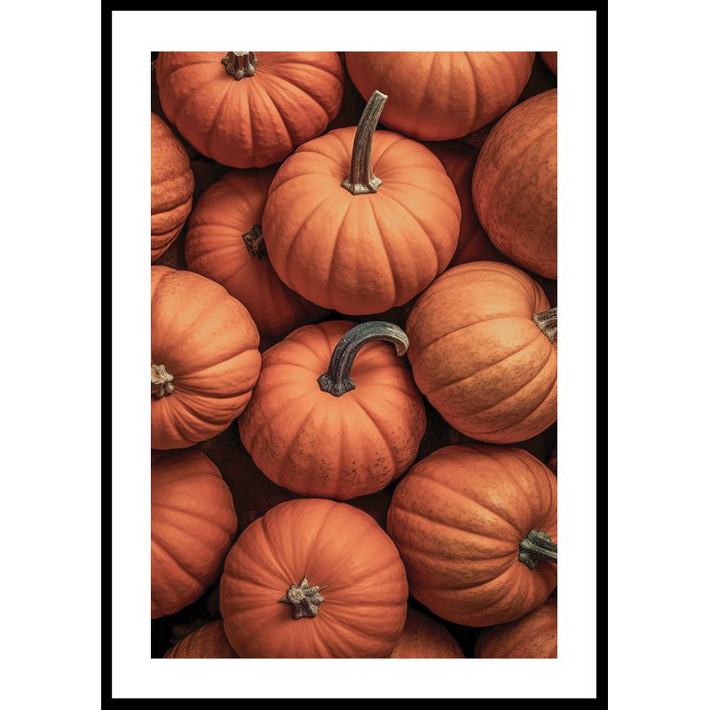Poster Gallerix Pumpkins