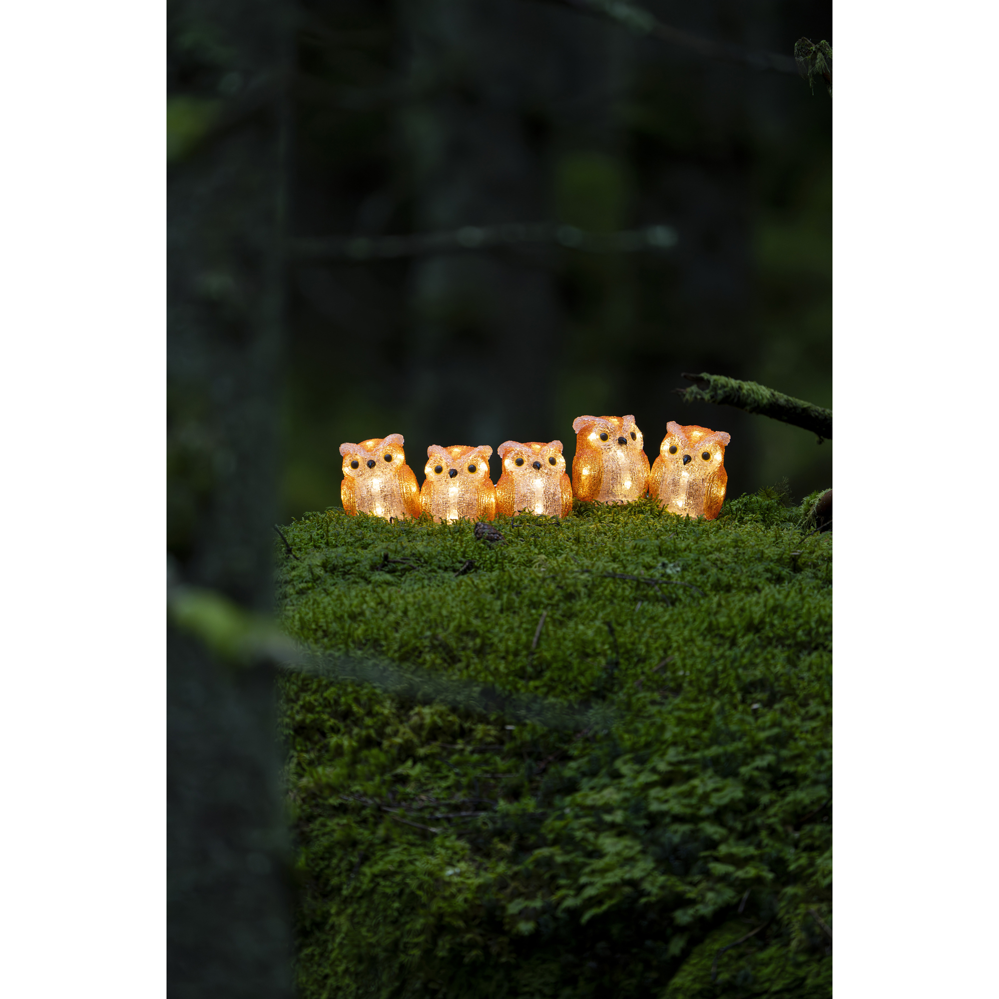 Dekorationsbelysning Gnosjö Konstsmide Ugglor LED