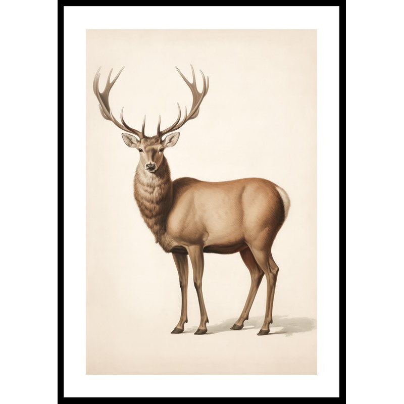 Poster Gallerix Brown Deer