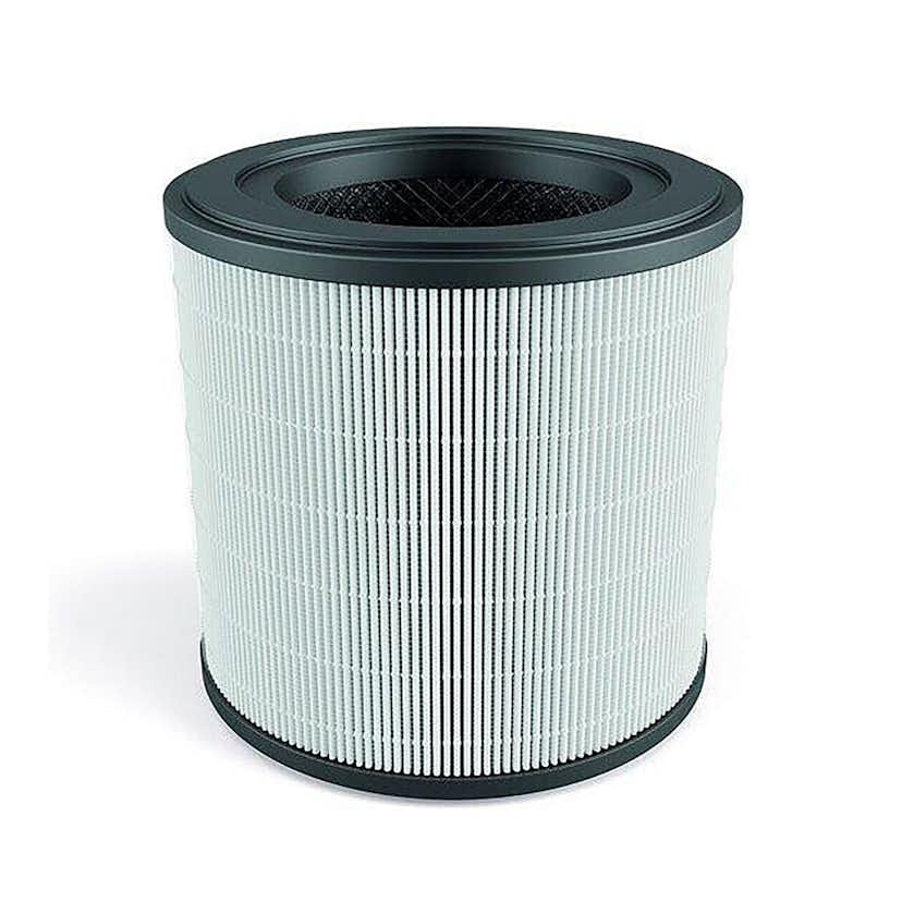 Filter Electrolux Breeze EFFBRZ2