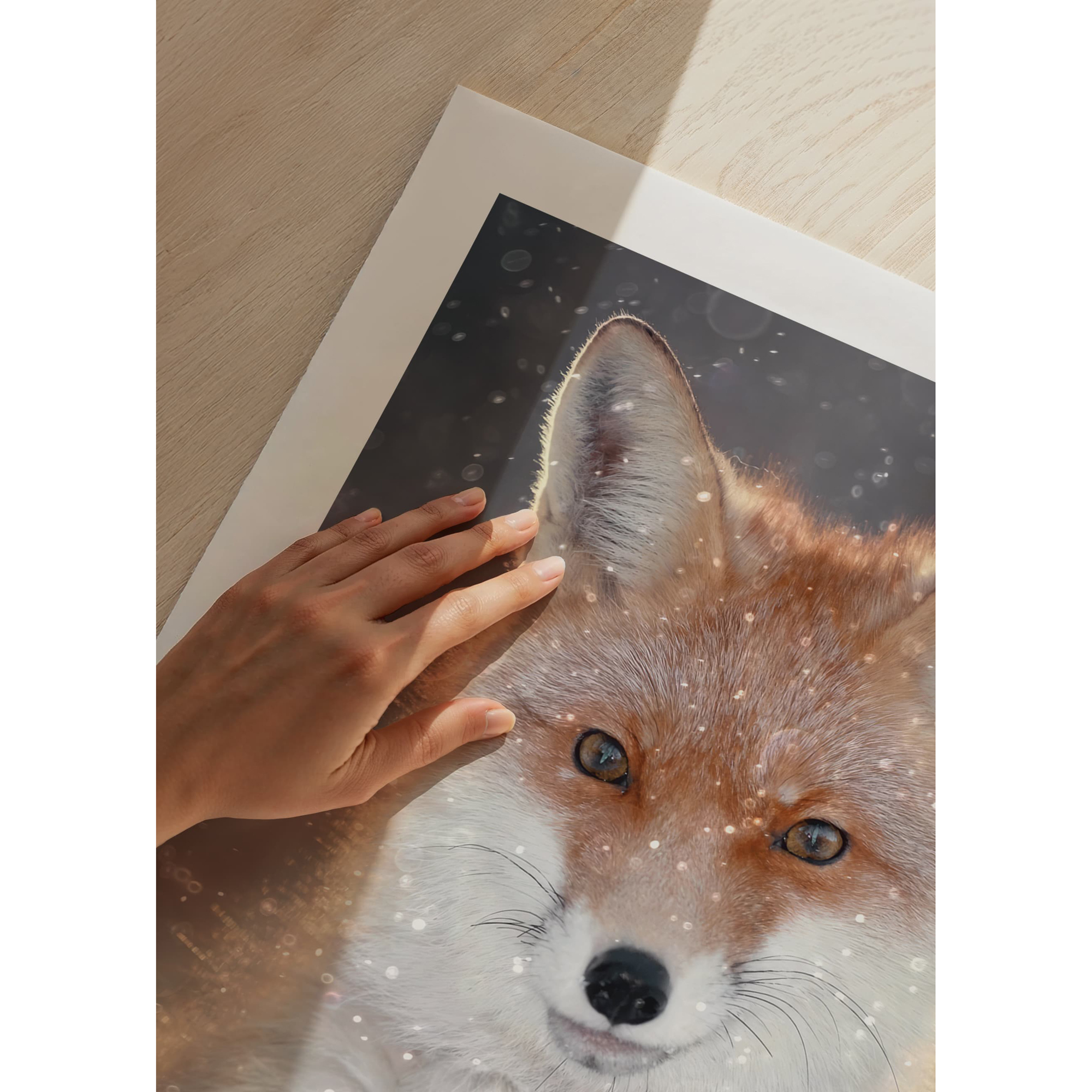Poster Gallerix Red Fox