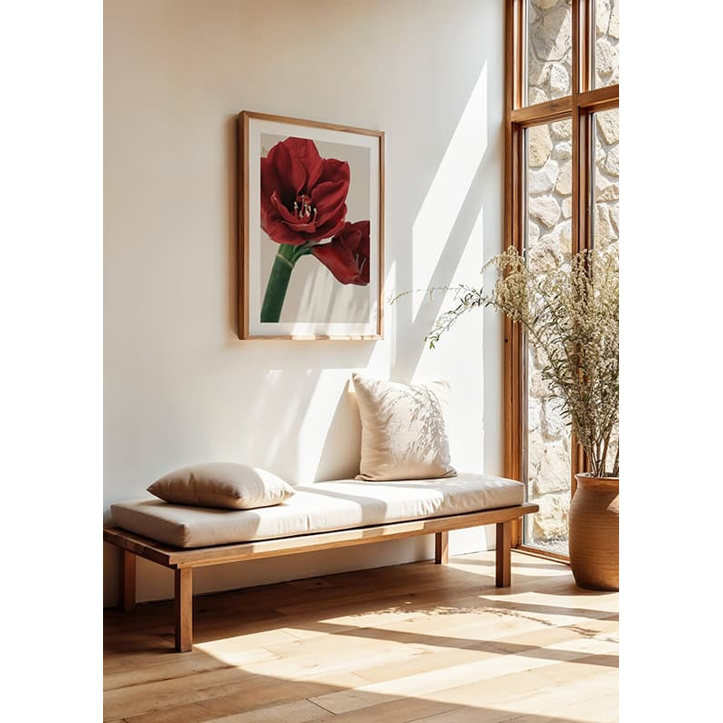 Poster Gallerix Red Amaryllis