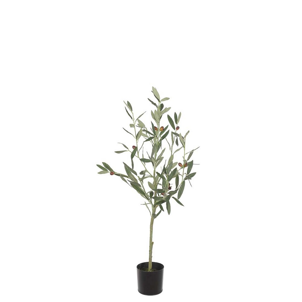 Konstväxt Fröken Fräken Oliv Grön Stam 7024
