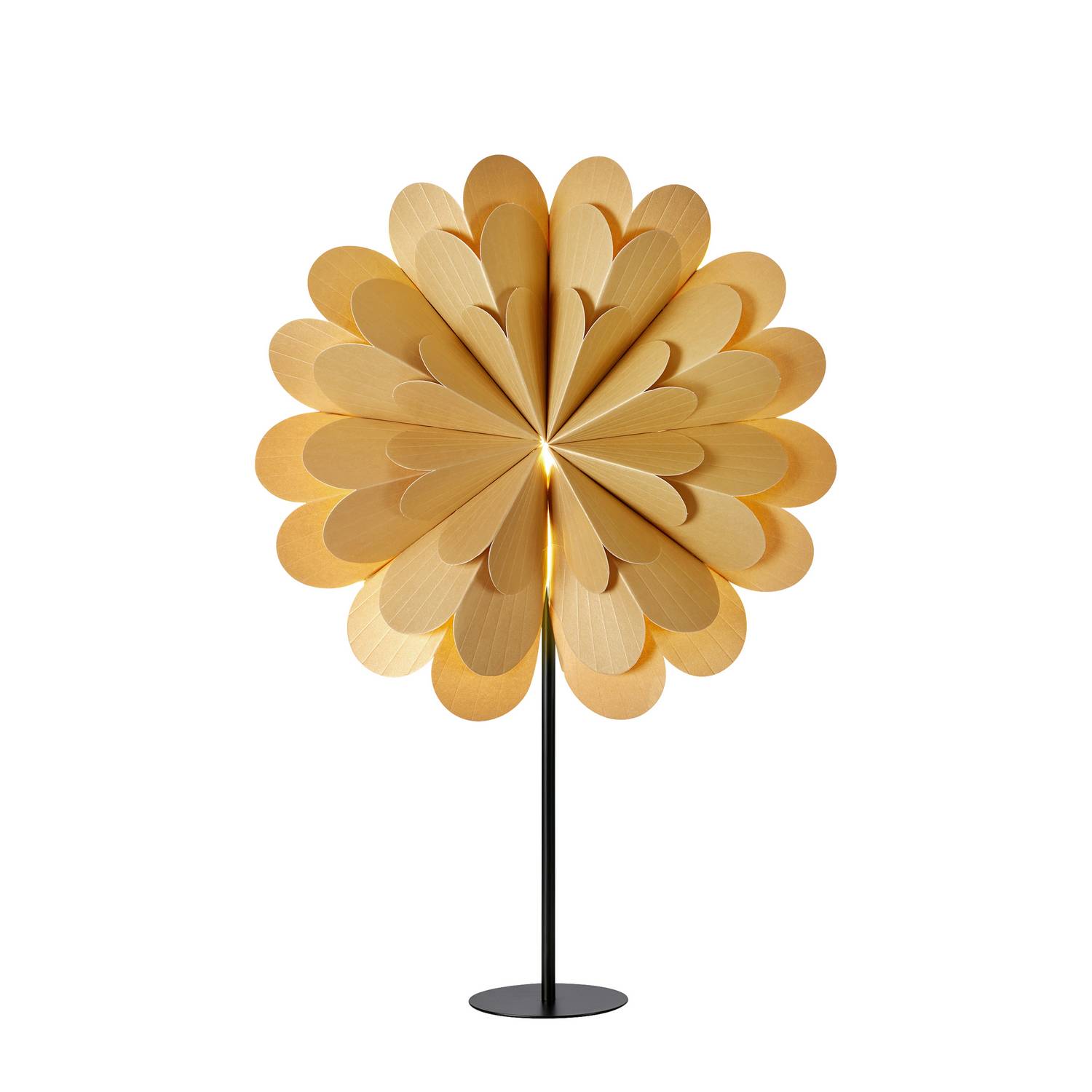 Adventsstjärna Markslöjd Maravilla 45 på fot