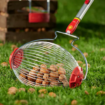 Wolf-Garten Fruitplukker Met Meerdere Sterren – Grote Mand, Flexibele Draden, Snel Te Legen, Universeel