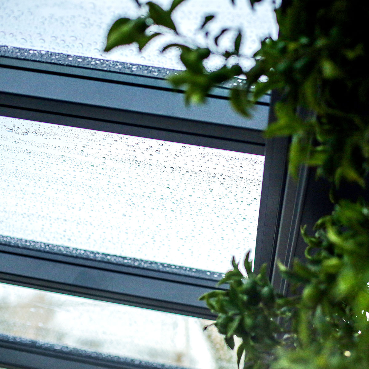 Altantak Canopia by Palram Stockholm