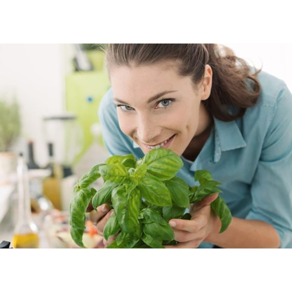 Odlingsmatta Turfquick Mejram