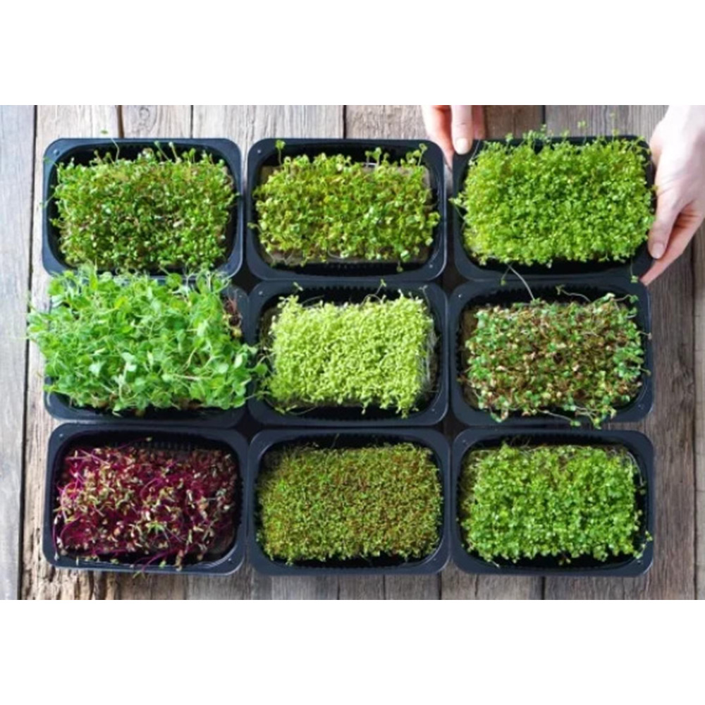 Odlingsmatta Turfquick Mejram