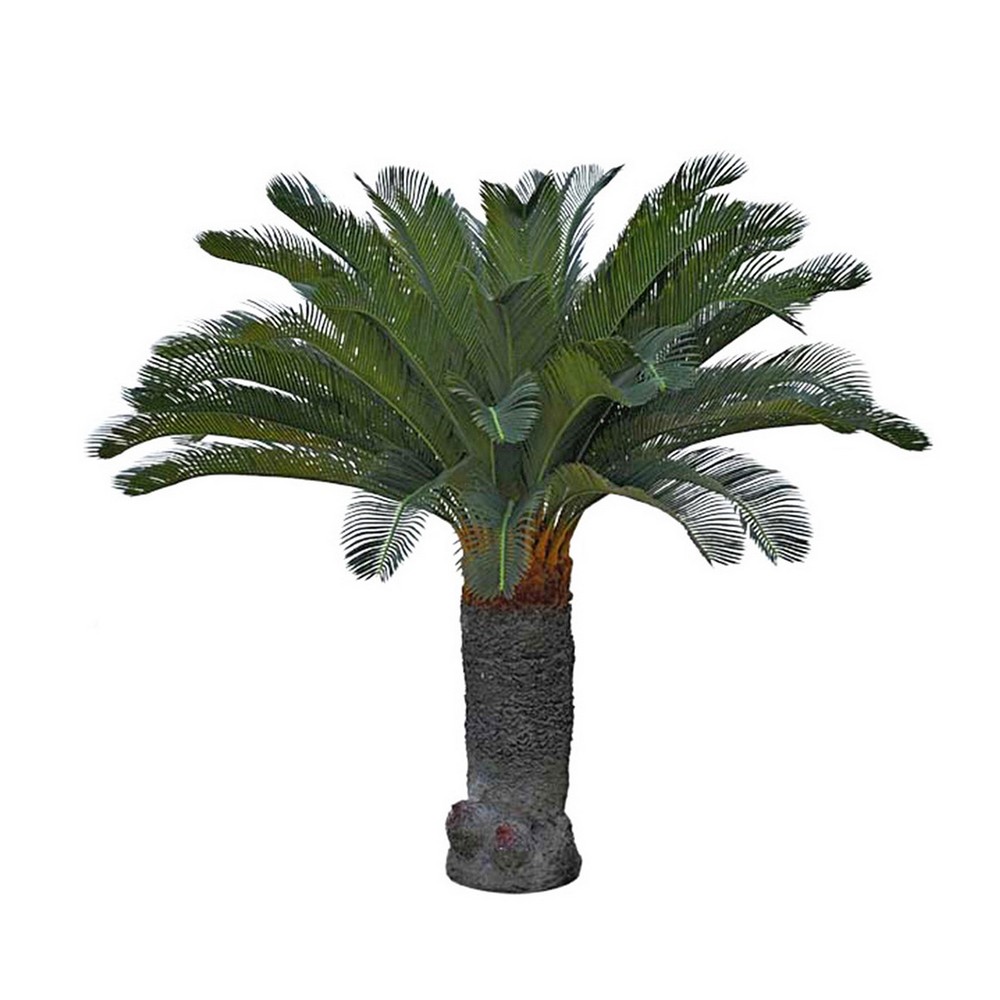 Konstväxt Fröken Fräken Cycas Palm