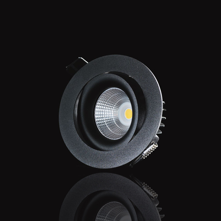 Downlight Designlight P Tilt