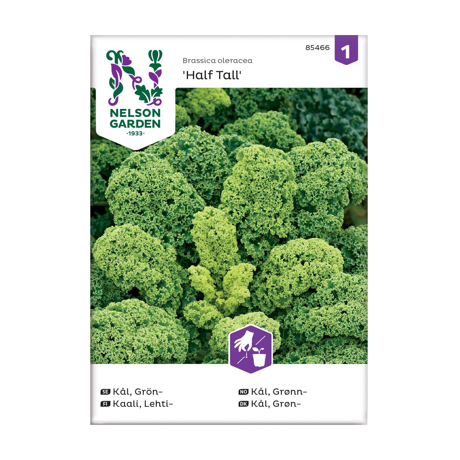 Frö Grönkål Nelson Garden Half Tall