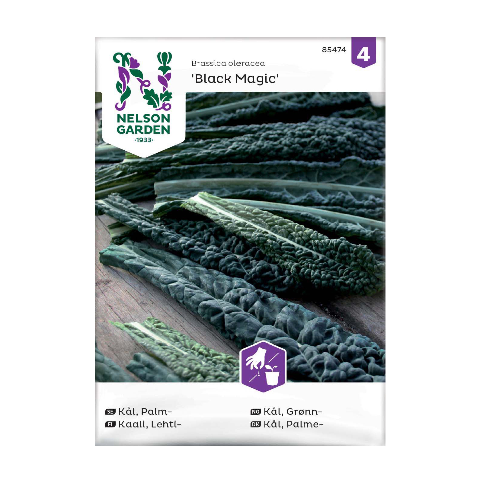 Frö Palmkål Nelson Garden Black Magic