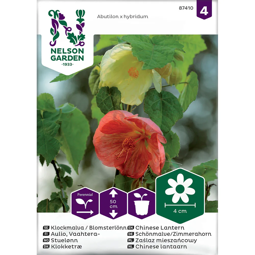 Frö Klockmalva Blomsterlönn Nelson Garden Bl färger