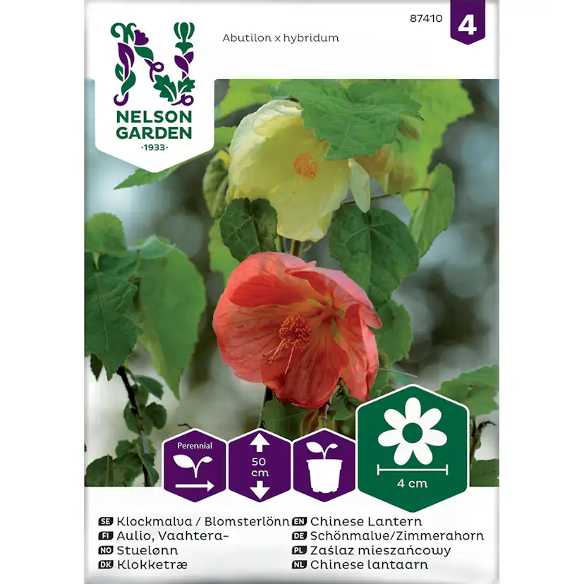 Frö Klockmalva Blomsterlönn Nelson Garden Bl färger