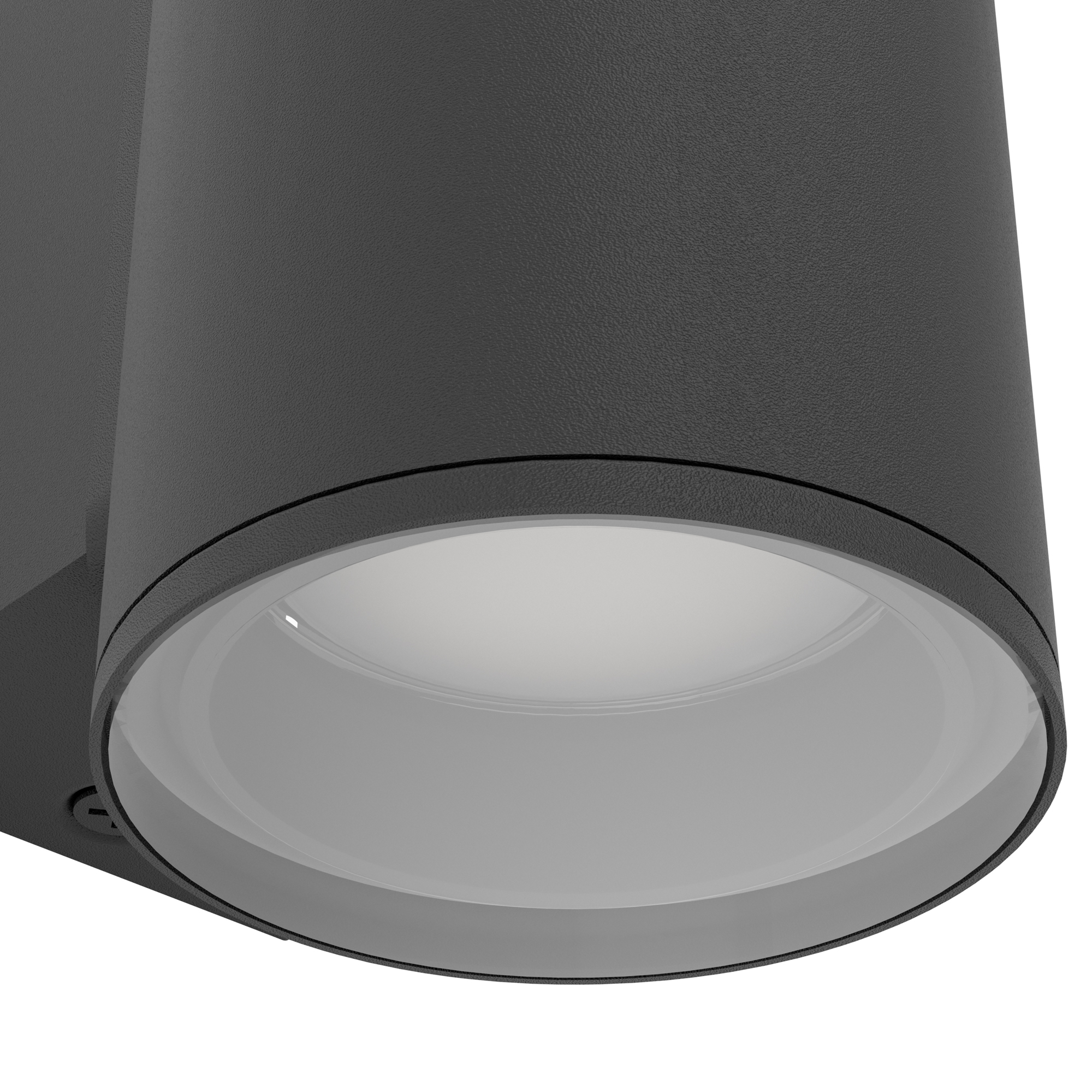 Vägglampa Utebelysning Eglo Izzalini