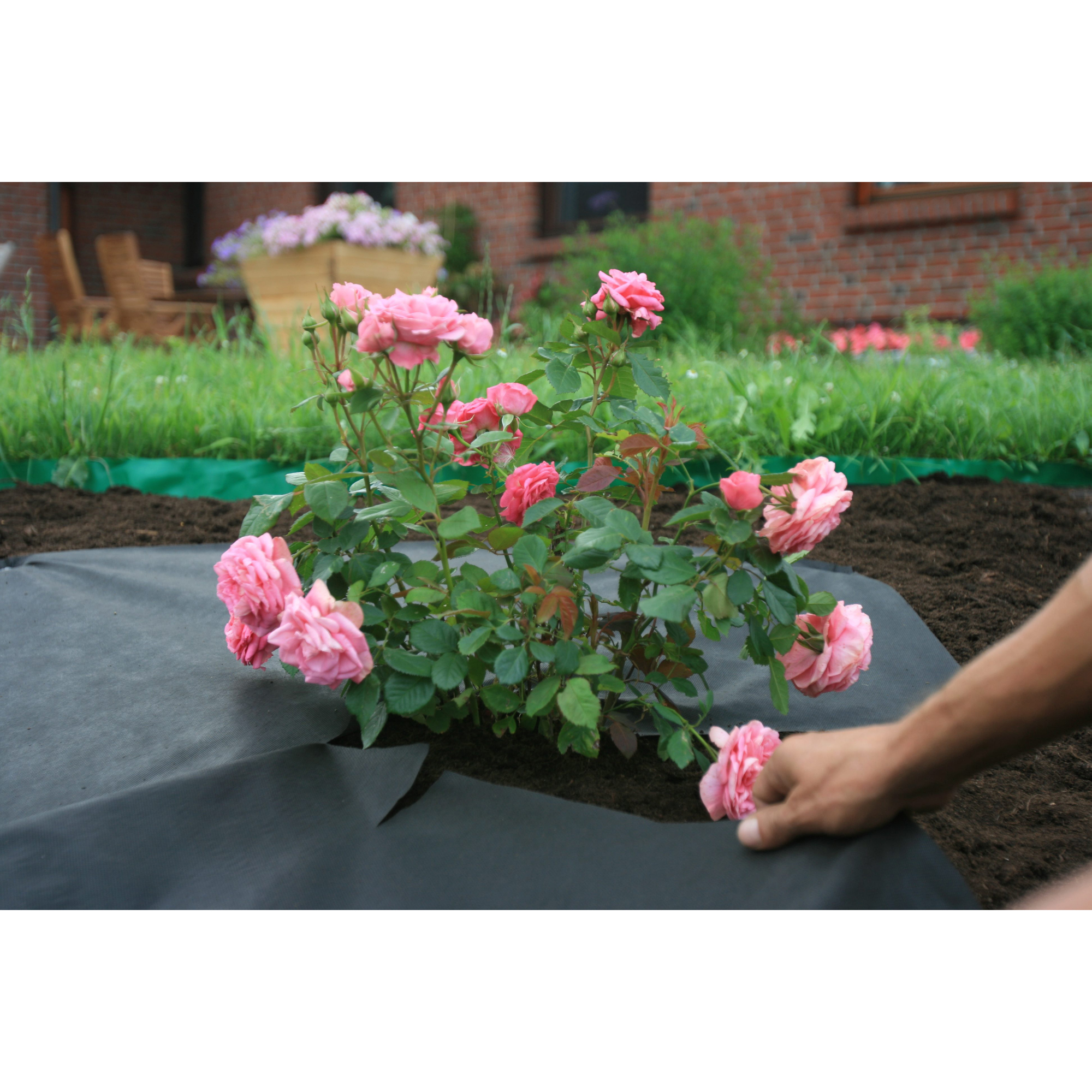 Jordgubbsduk Jabo Agrimpex med Förskurna Hål 1,2x10 m