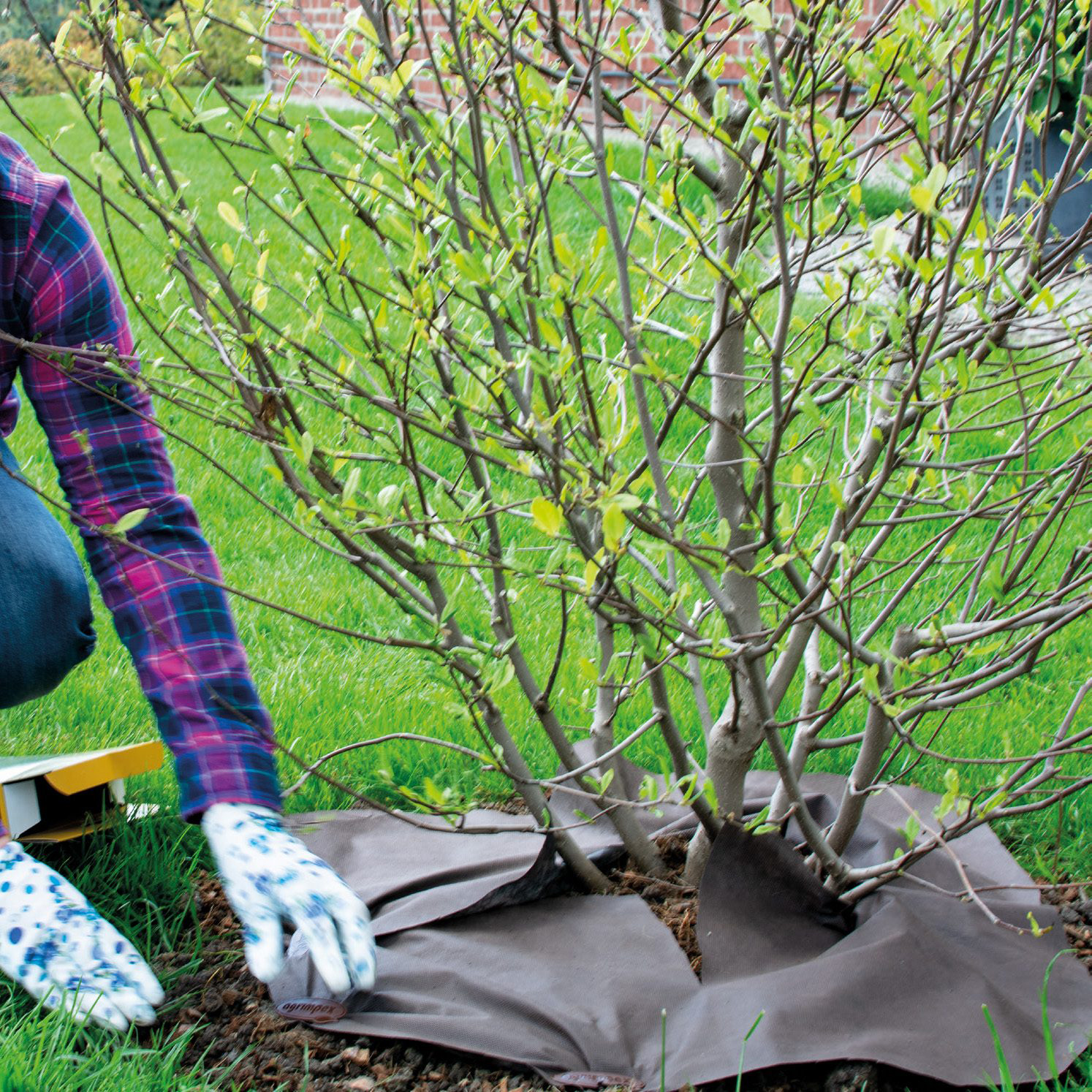 Barduk Jabo Agrimpex Dual-Agro 1,6x10 m Brun/Svart