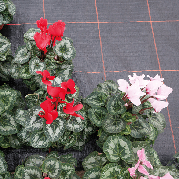 Markduk Jabo Agrimpex Argola 2x10 m Svart