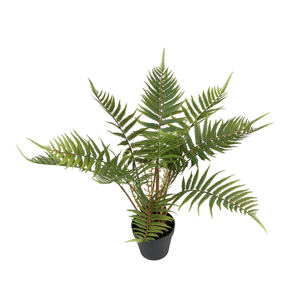 Konstväxt Fröken Fräken Ormbunke 50 cm Grön