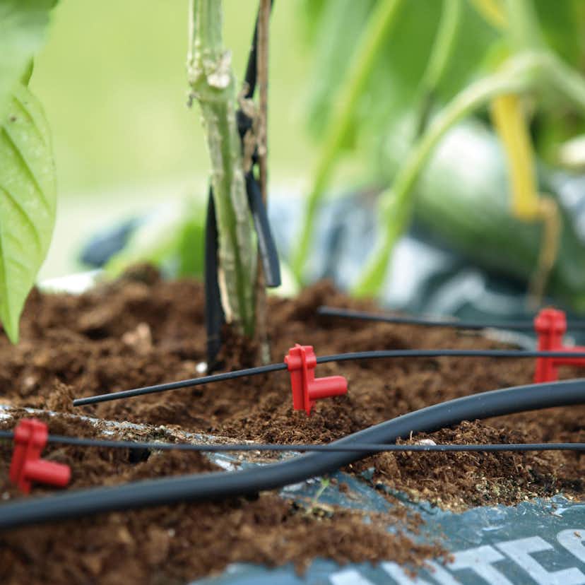 Droppinnar Vitavia 15 st