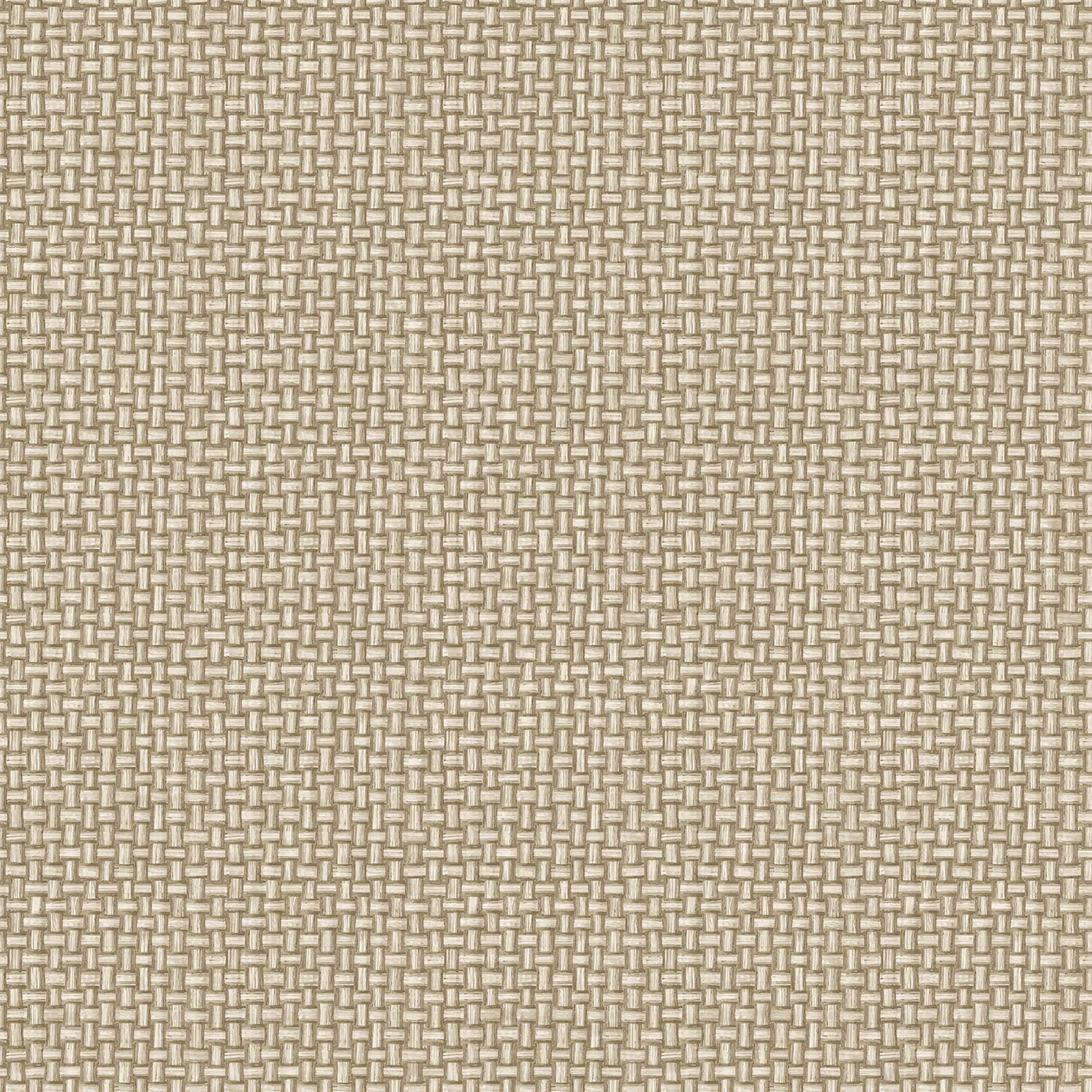Tapet Holden The Lost Gardens Biderbost Weave Beige 91602