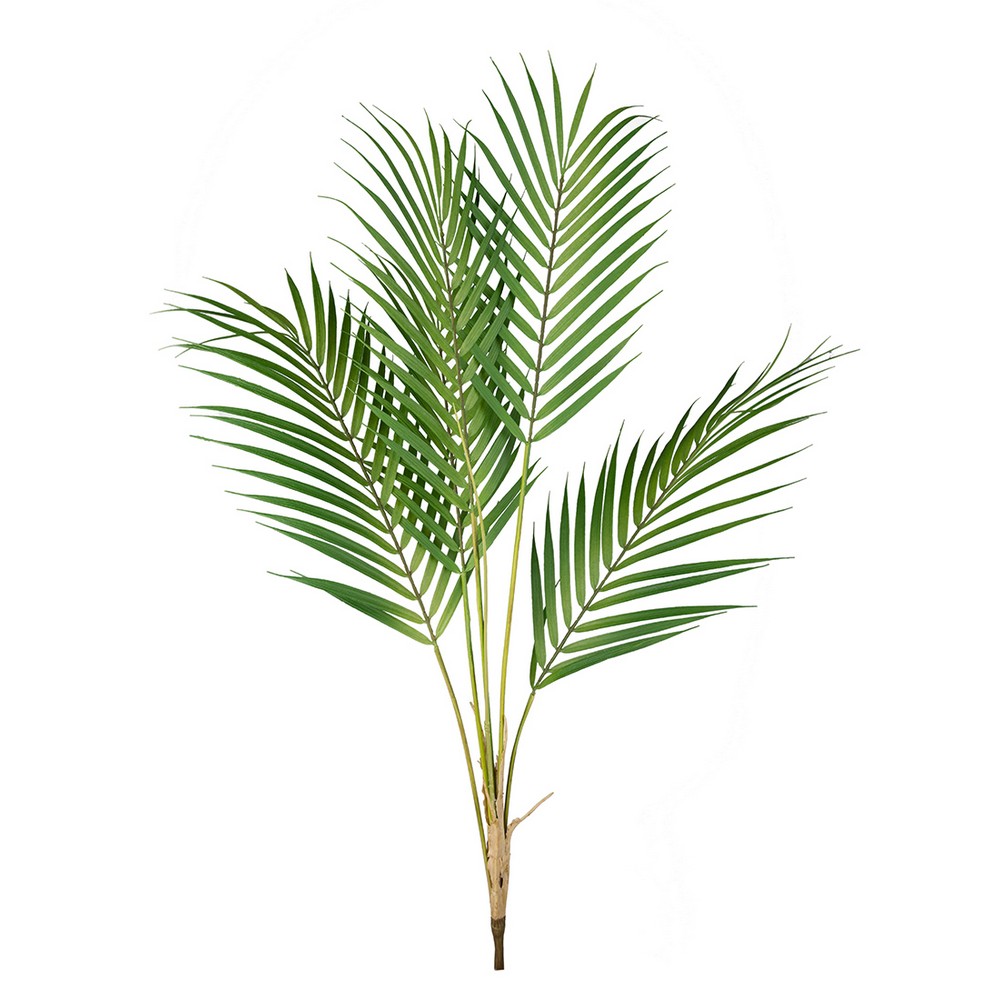 Konstväxt Fröken Fräken Bergspalm Grön Blad