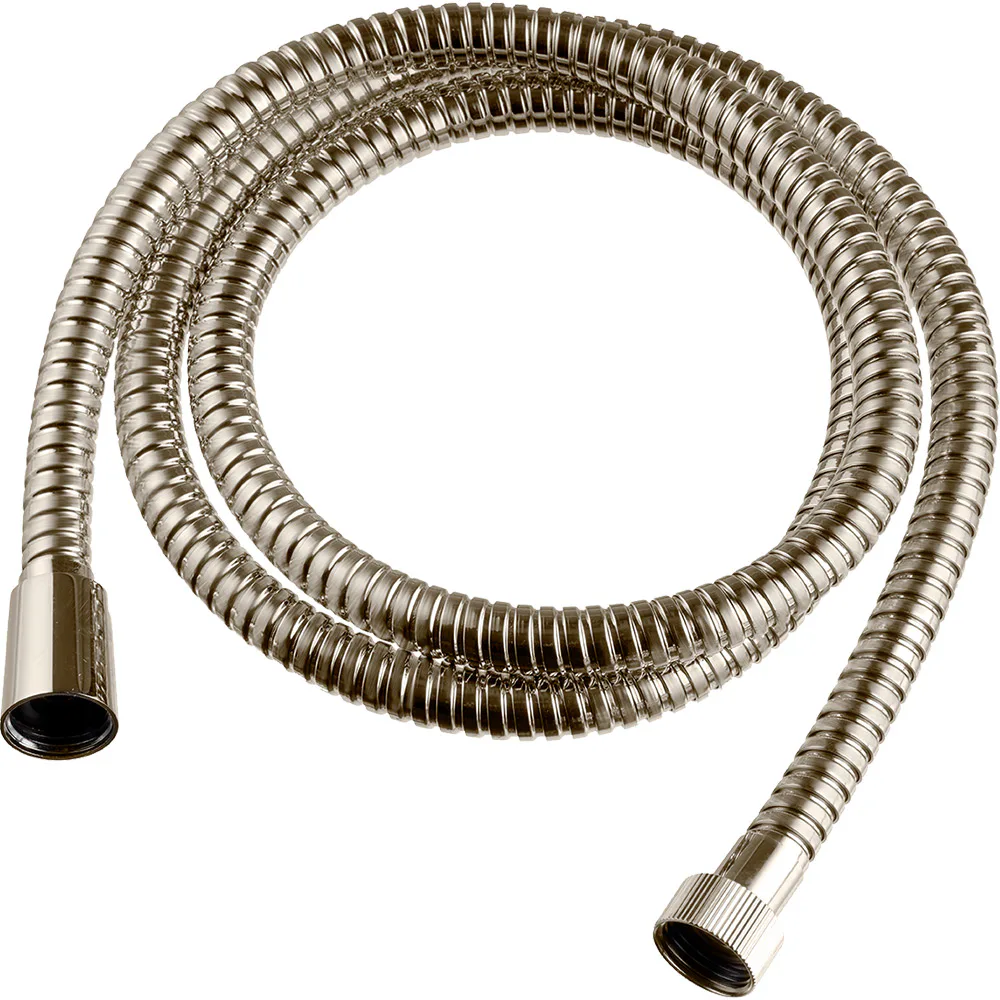 Borstad Nickel