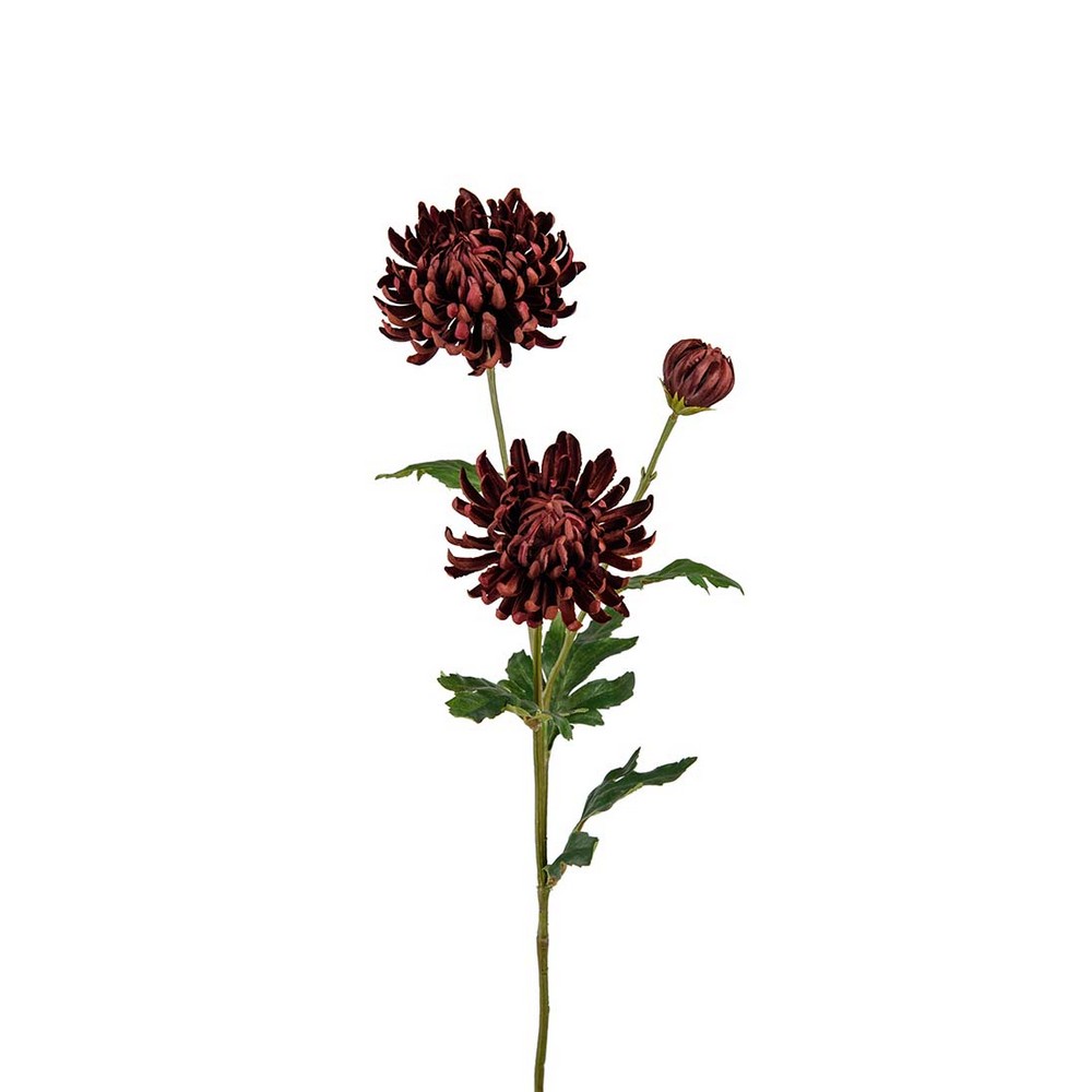 Konstväxt Fröken Fräken Chrysanthemum 60 cm