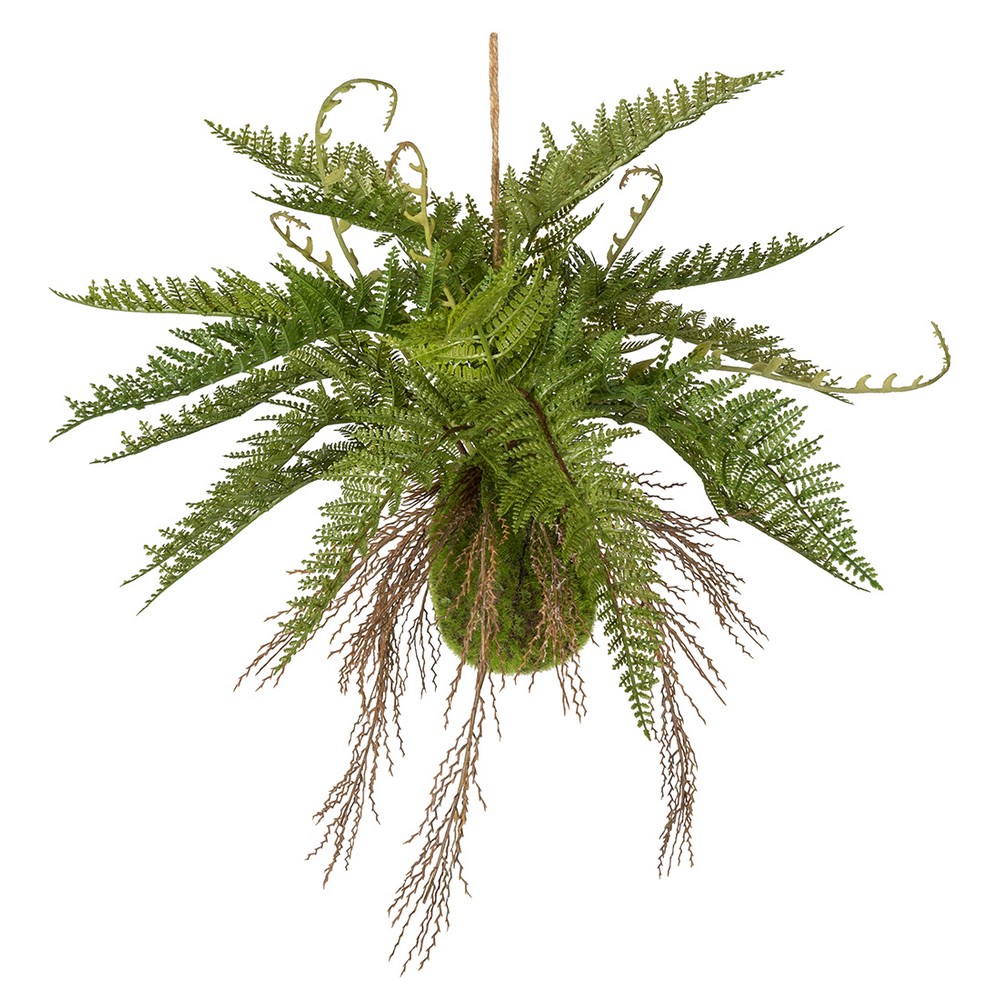 Konstväxt Fröken Fräken Ormbunke Grön Ampel