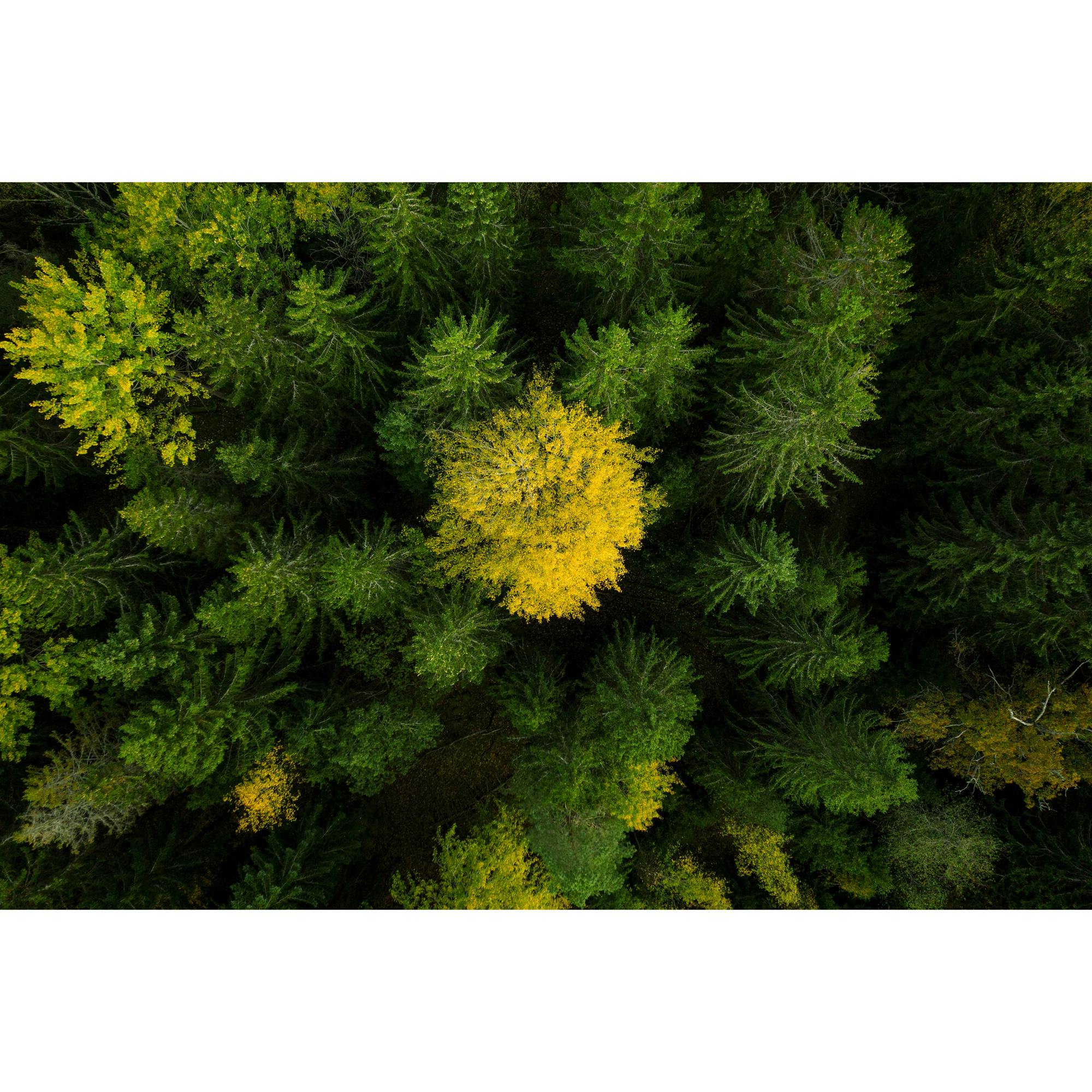 Robotgräsklippare Husqvarna Automower® 320 NERA