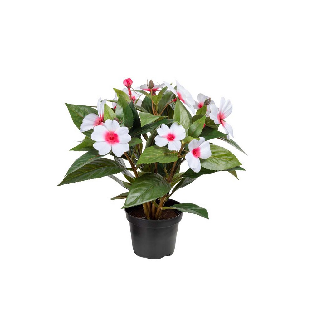 Konstväxt Fröken Fräken Lyckliga Lotta