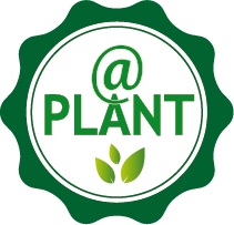 Plant - Köp växter och plantor online  Bygghemma.se