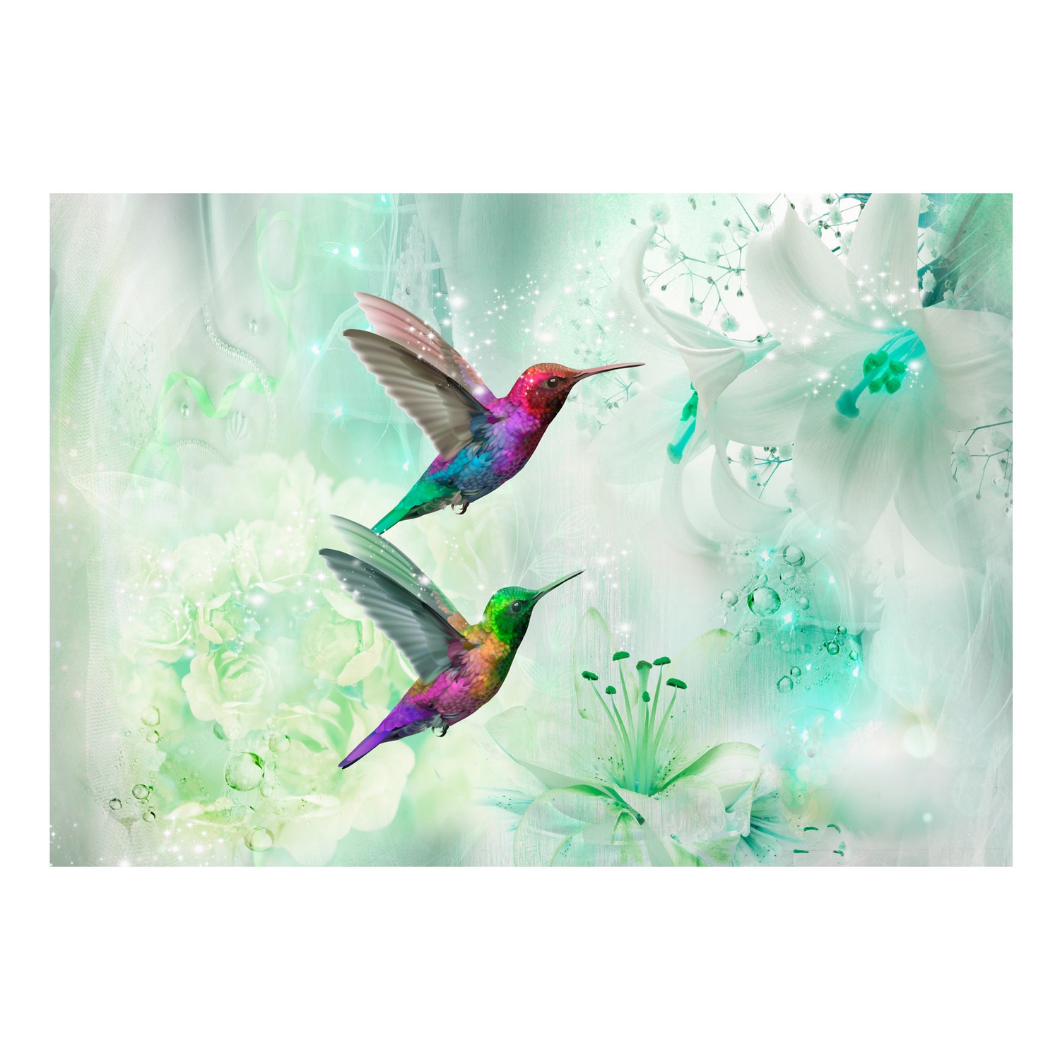 Fototapet Arkiio Självhäftande Colourful Hummingbirds Green